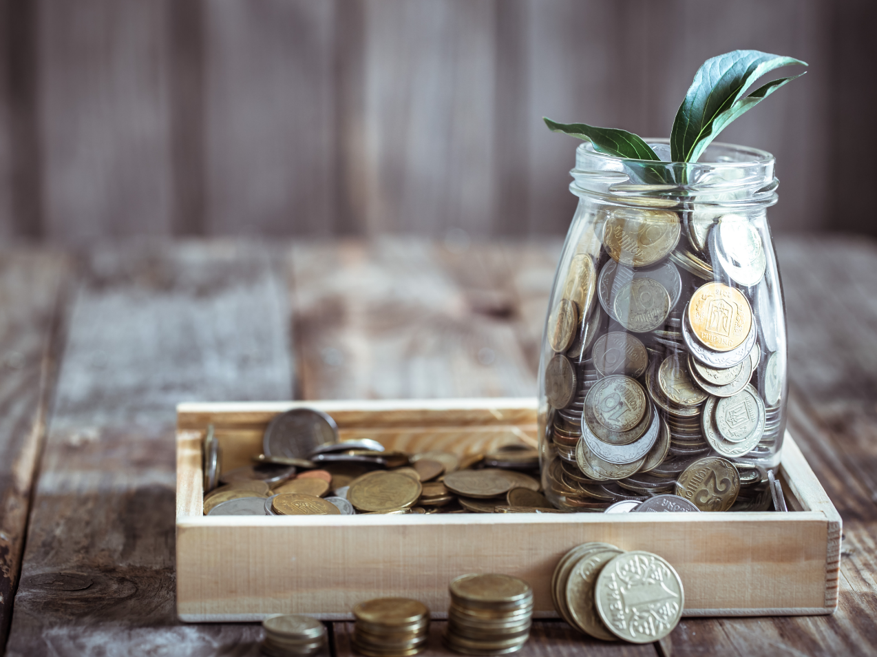 bank-with-coins-green-sprout